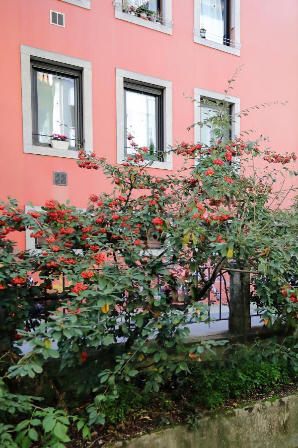 Residenza Cristoforo Apartment อูดิเน ภายนอก รูปภาพ